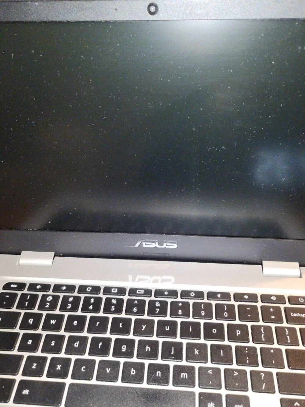 Asus Chromebook